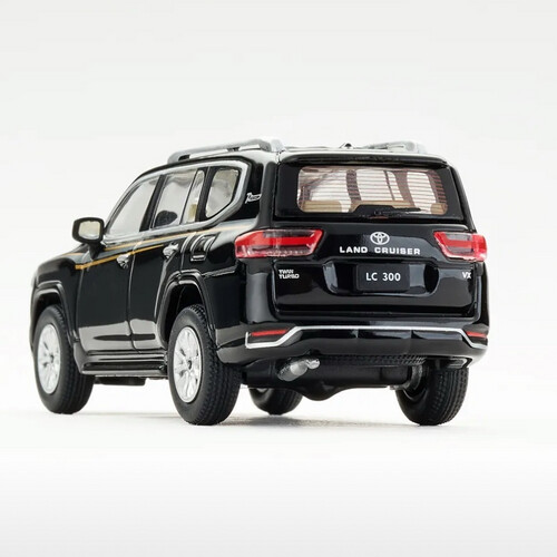 LC300 with stripes (black)