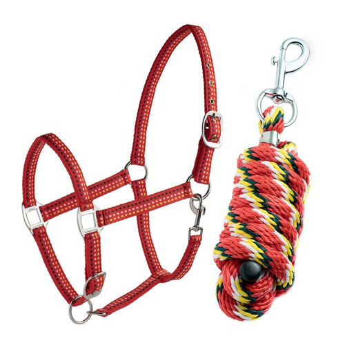 Daslo Halter with Naylon Lead