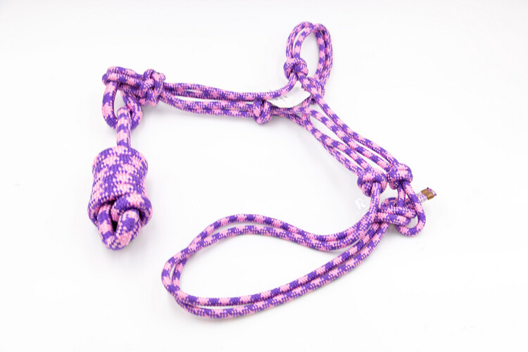Mule Tape Halter & Lead