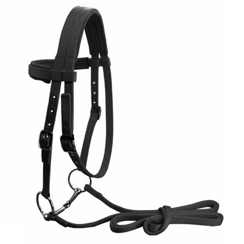 Horse Bridle with Bit & Rein Belt