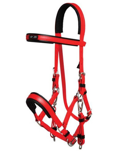 Marathon bridle