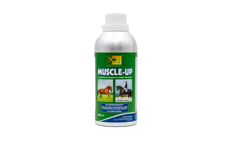 MUSCLE UP 960 ML