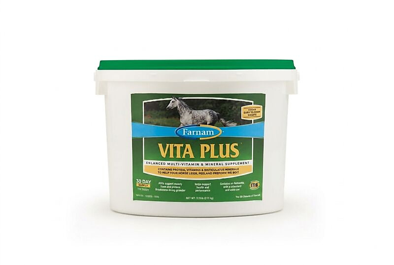 Vita Plus