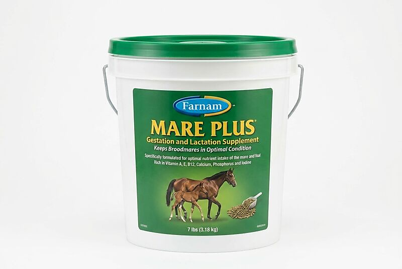 Mare Plus