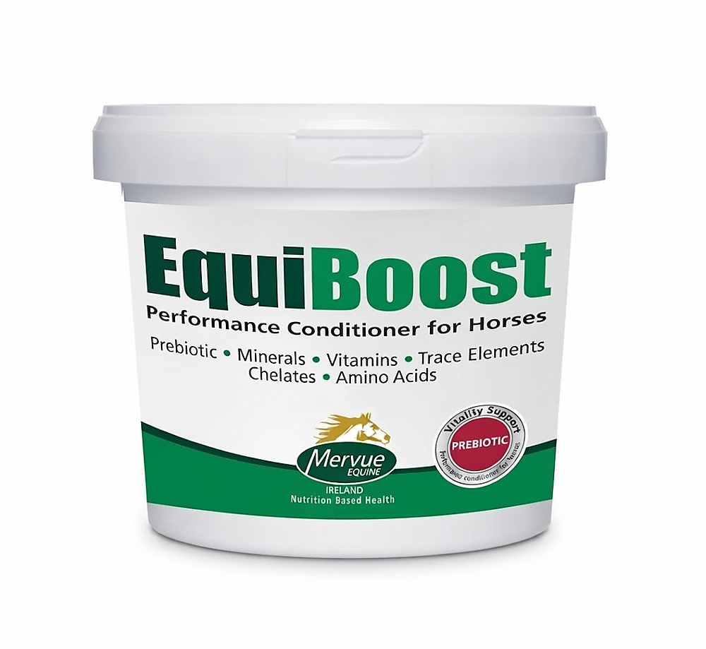 Mervue Equiboost