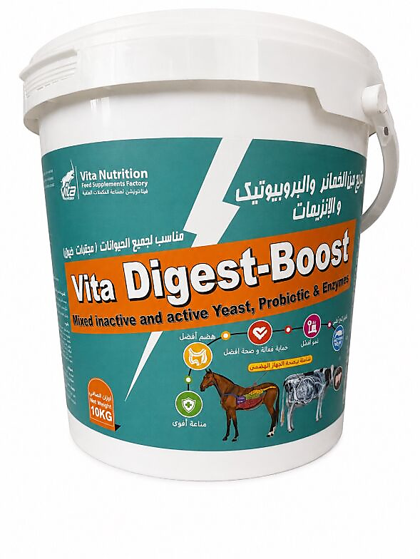 Vita Digest-Boost