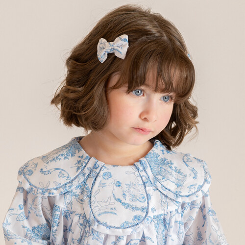 Girls Dress with 2 Hair Clips Shape 1