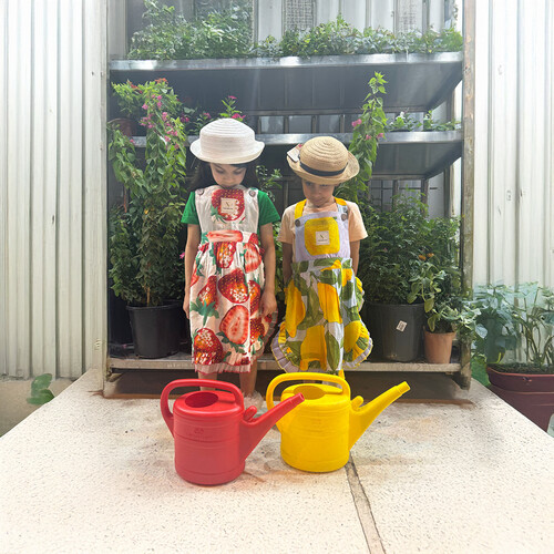 Lemon apron