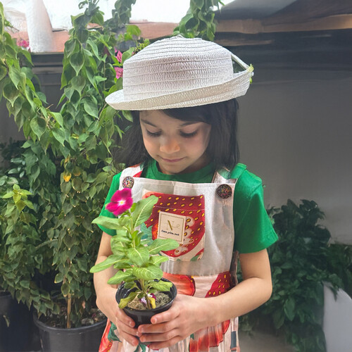 Strawberry dress
