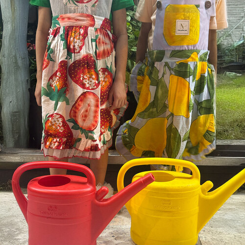 Lemon apron