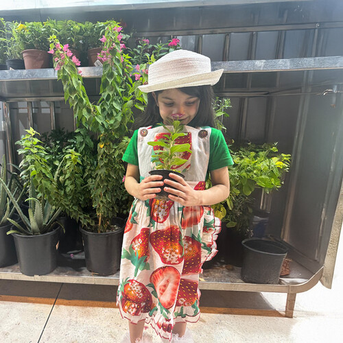 Strawberry dress