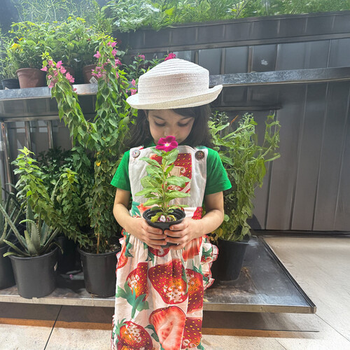 Strawberry dress