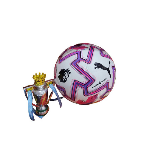 Premier League Trophy -  Resin 15cm
