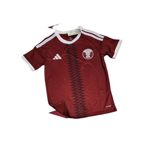 كأس العالم 2026 - قطر