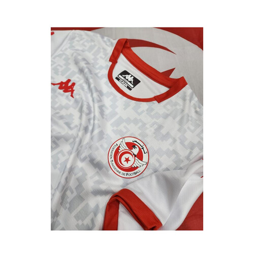 كأس العالم 2026 - تونس