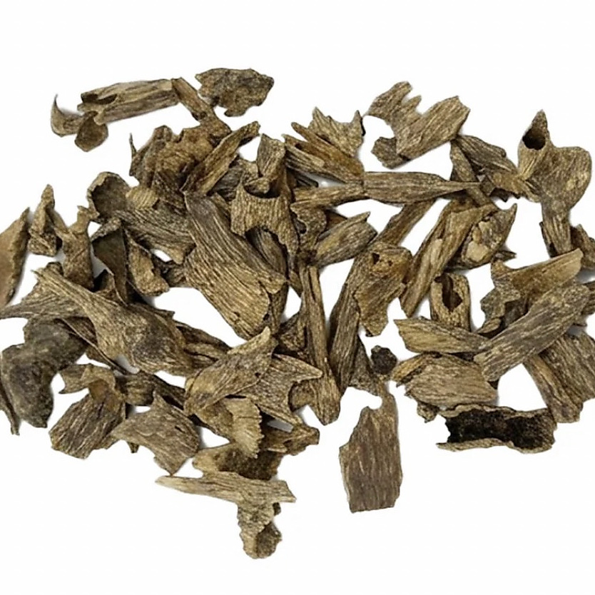 Cambodian Oud