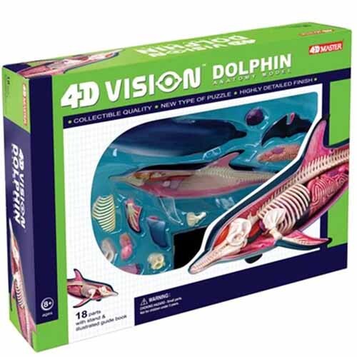 4D Vision Dolphin Anatomy Model