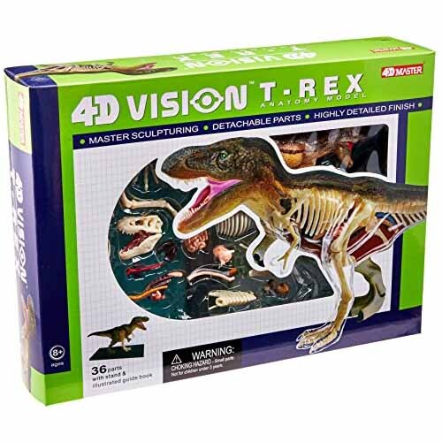 4D Vision T-Rex Anatomy Model