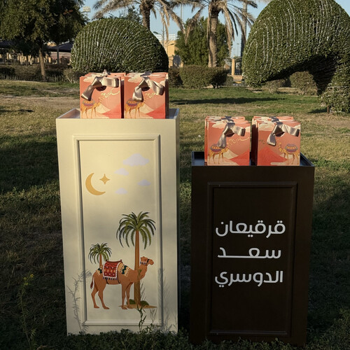 Camel Design