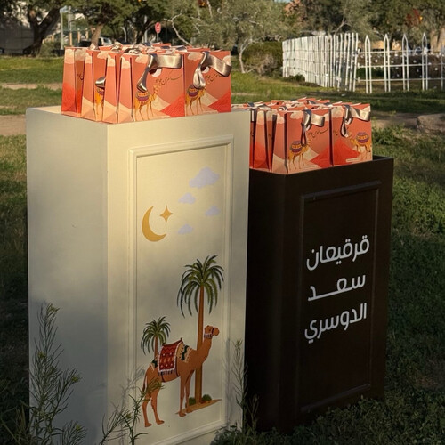 Camel Design