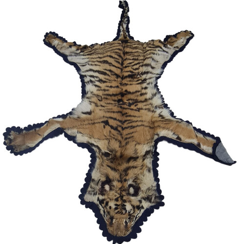 Striped Bengal Tiger Skin (Tiger)