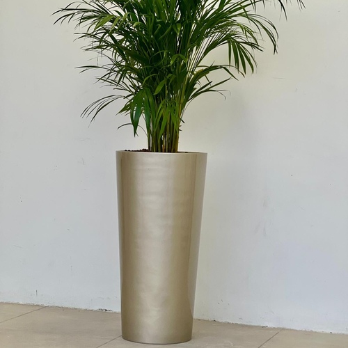 Gift 10 ( Big Vase)