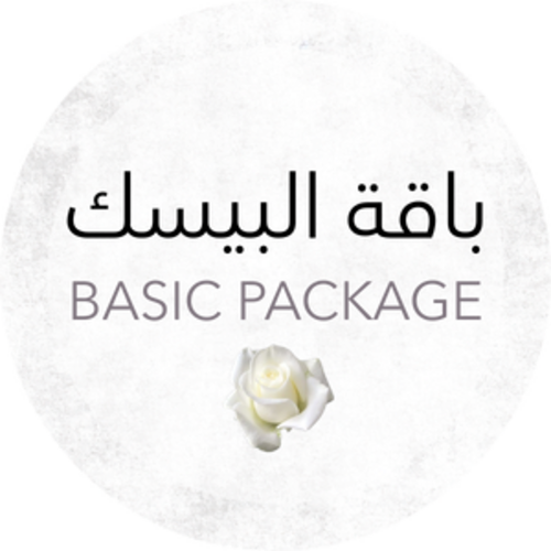 BASIC PACKAGE