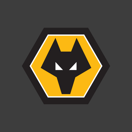 وولفرهامبتون