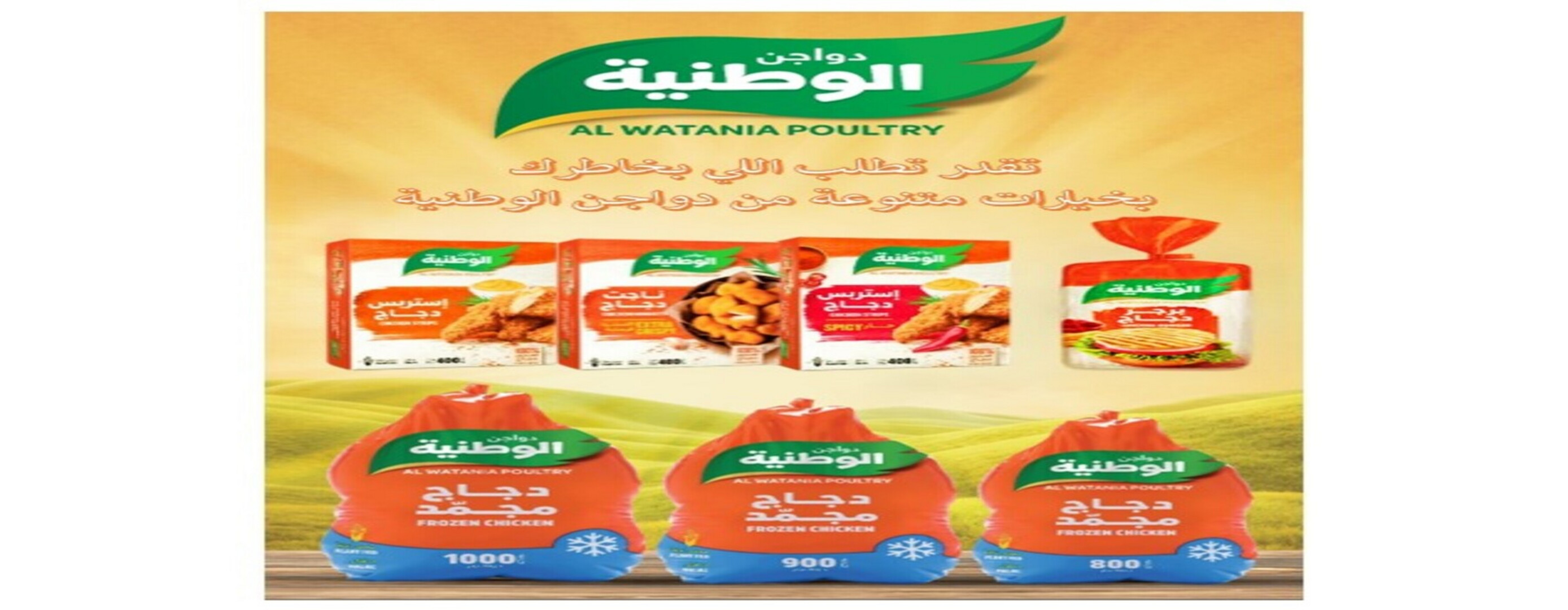 دجاج و بيض