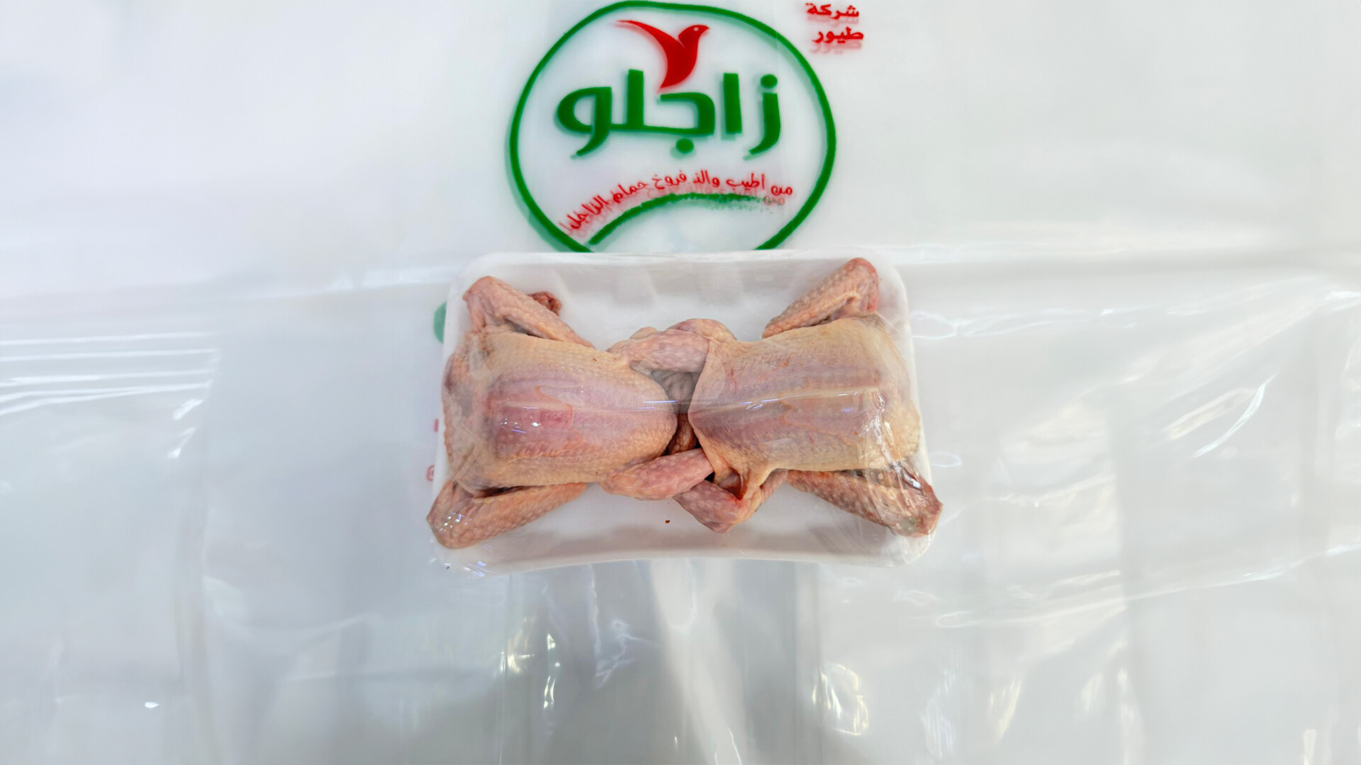 زاجلو