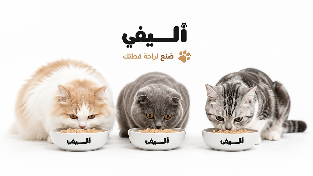 أليفي
