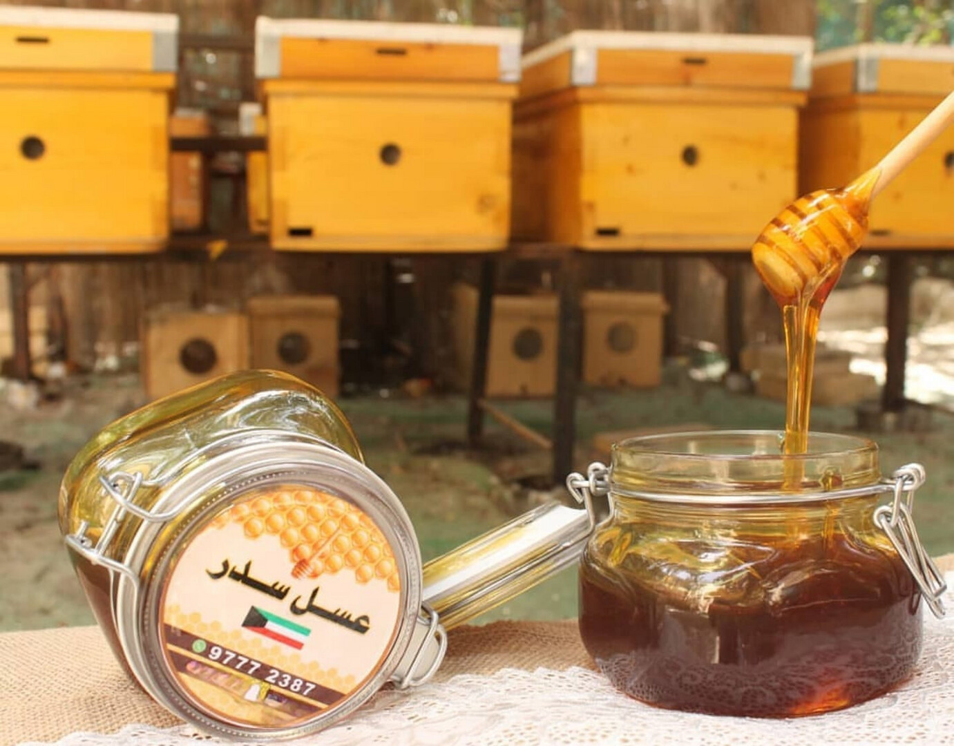 بيت النحل الكويتي