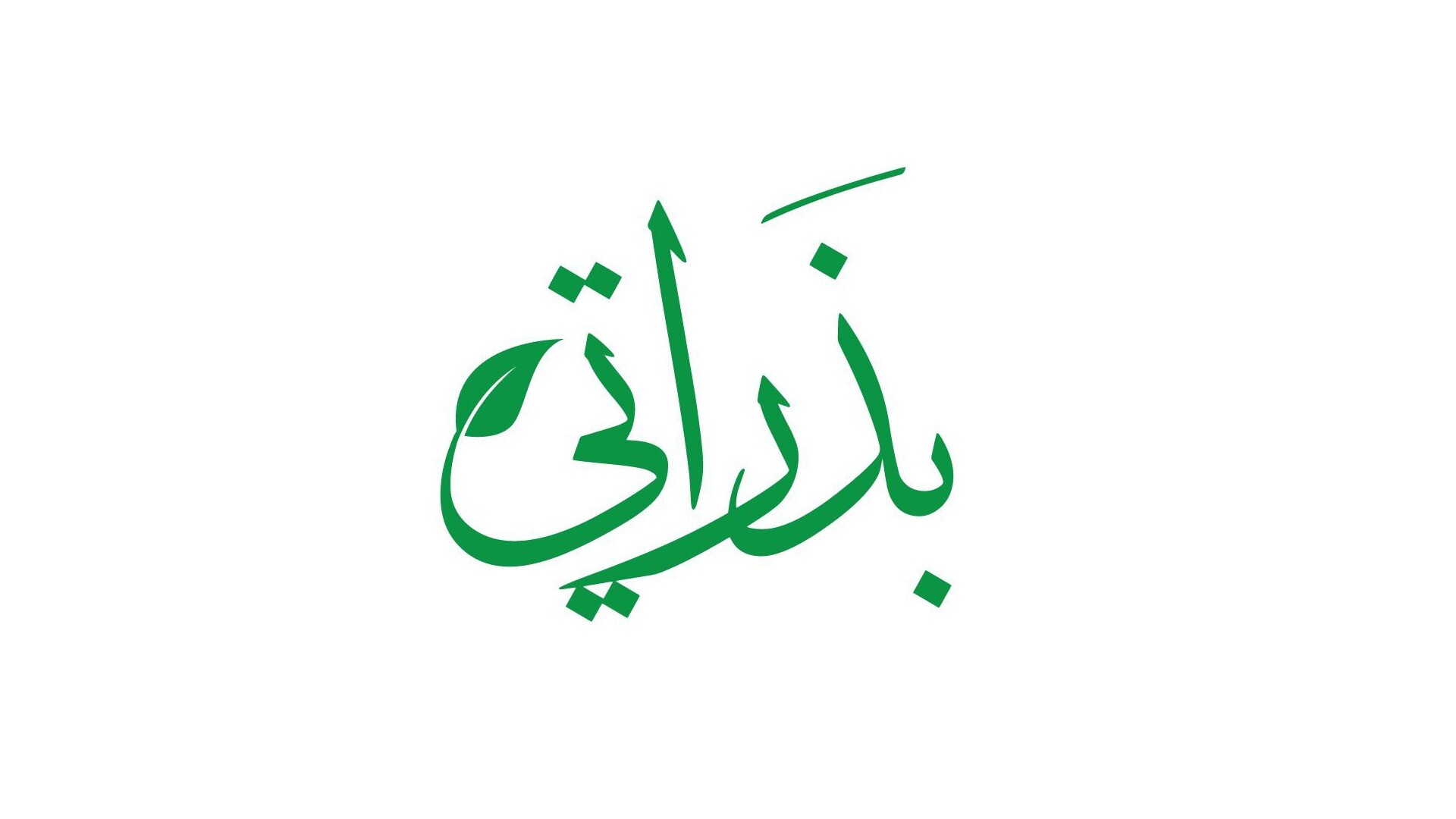 بذراتي