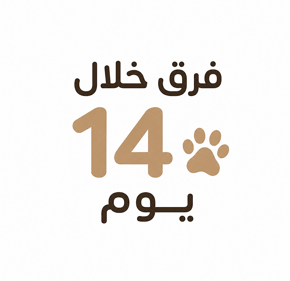 أليفي