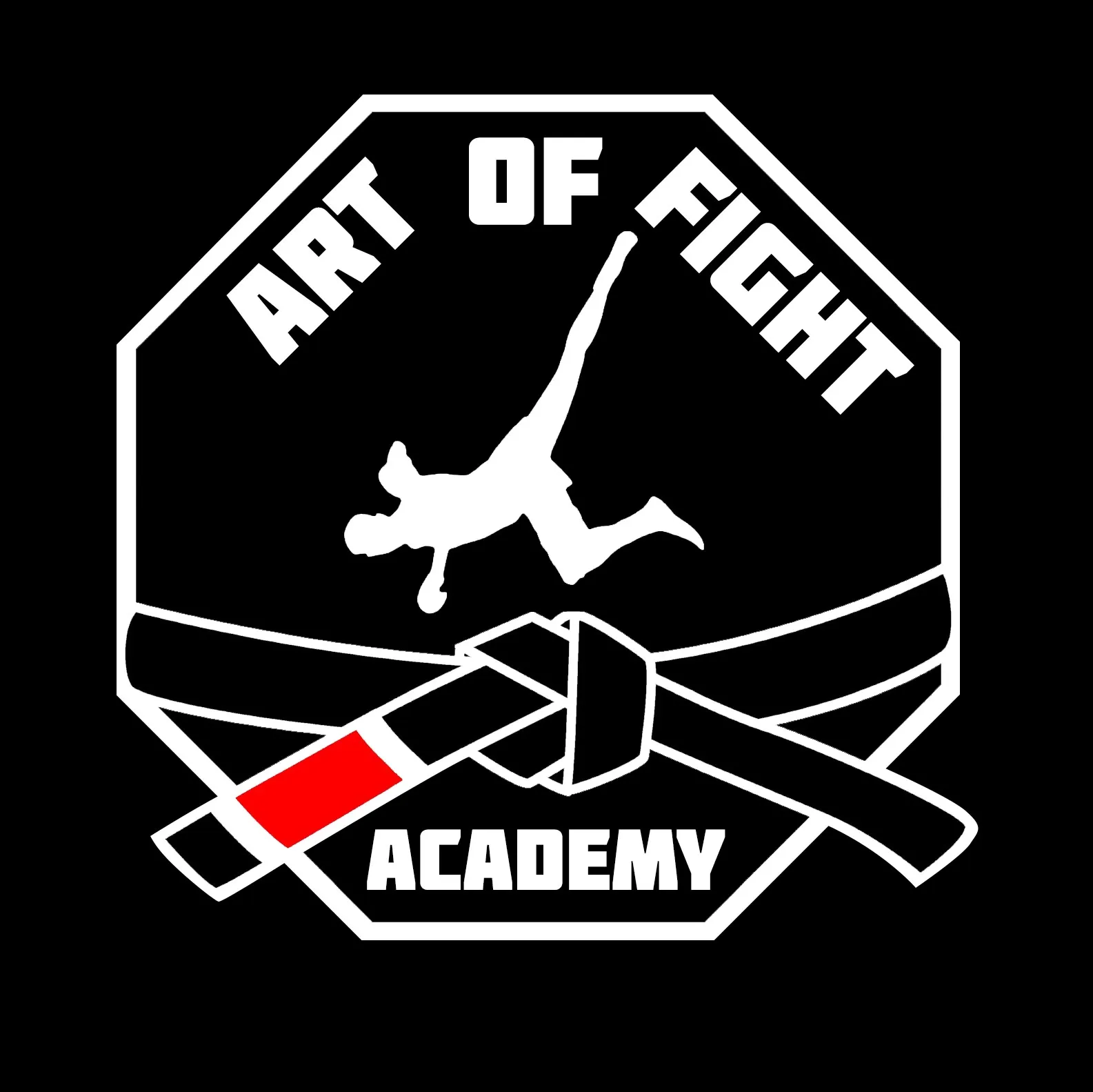Art of Fight Academy